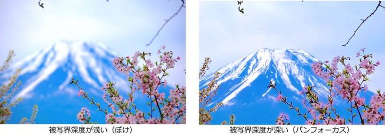 絞りとは?写真の印象が大幅に変わる!絞りと明るさとボケの関係を解説 | カメラポケット