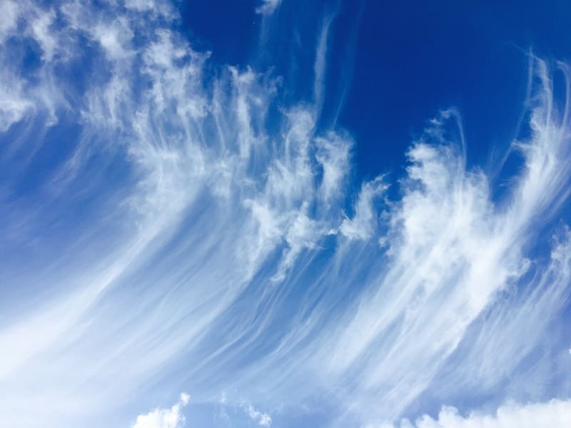 青空に広がる層雲の写真