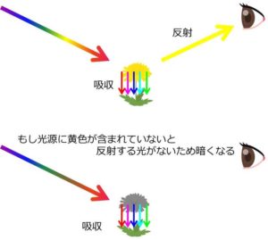 光と色の反射の関係イメージ図