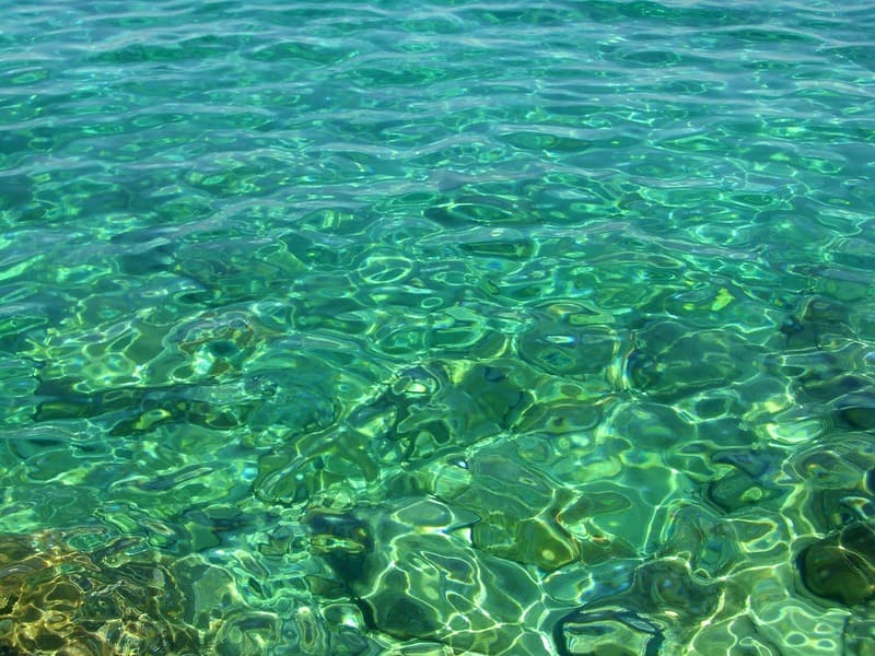 青緑色した波立つ海の写真